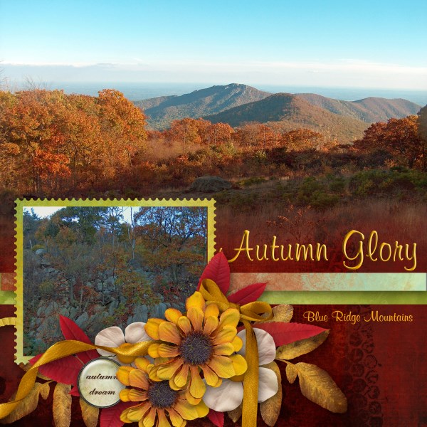 Autumn Glory