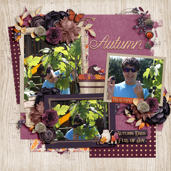 Autumn Glory
