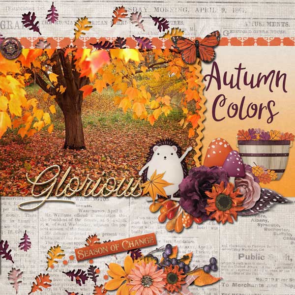 Autumn Glory