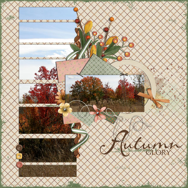 autumn glory