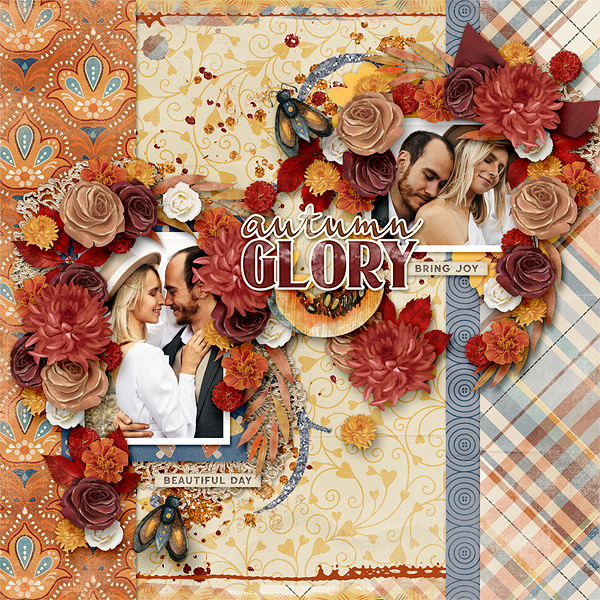 Autumn Glory