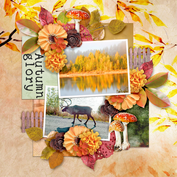 Autumn-glory1
