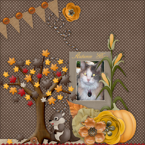 Autumn Glow