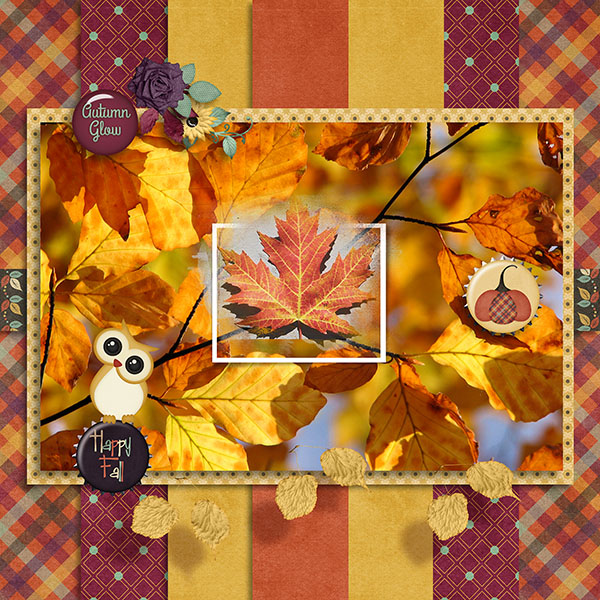 Autumn Glow