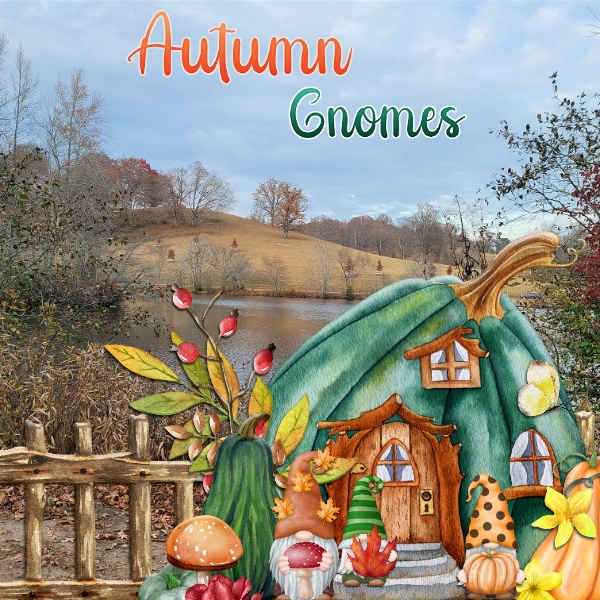 Autumn Gnomes