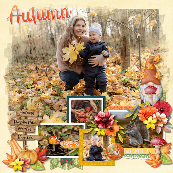 Autumn - gnomes