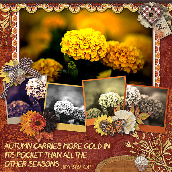 Autumn Gold