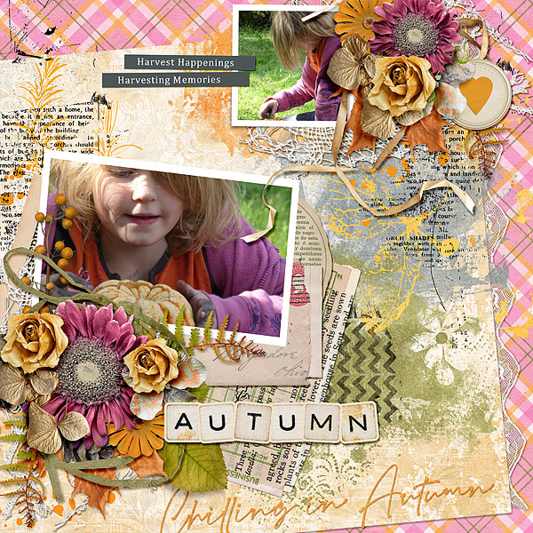 Autumn Happenings