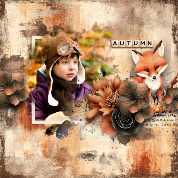 Autumn Harmony