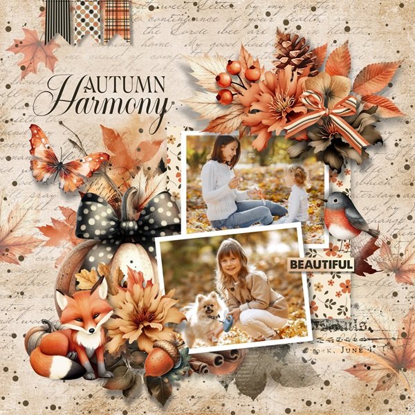 Autumn harmony