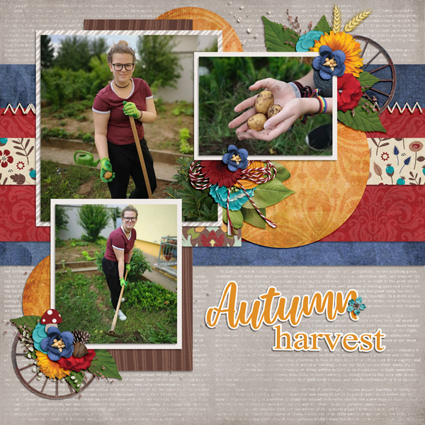 autumn harvest 2020