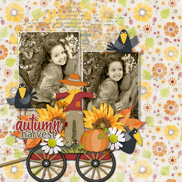 Autumn Harvest