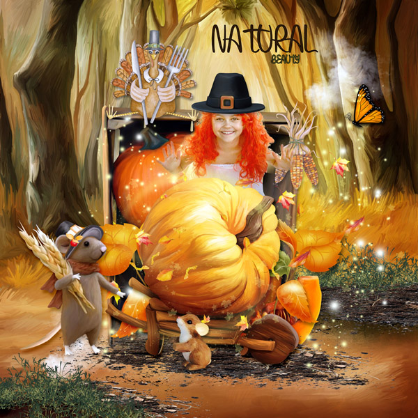 Autumn Harvest