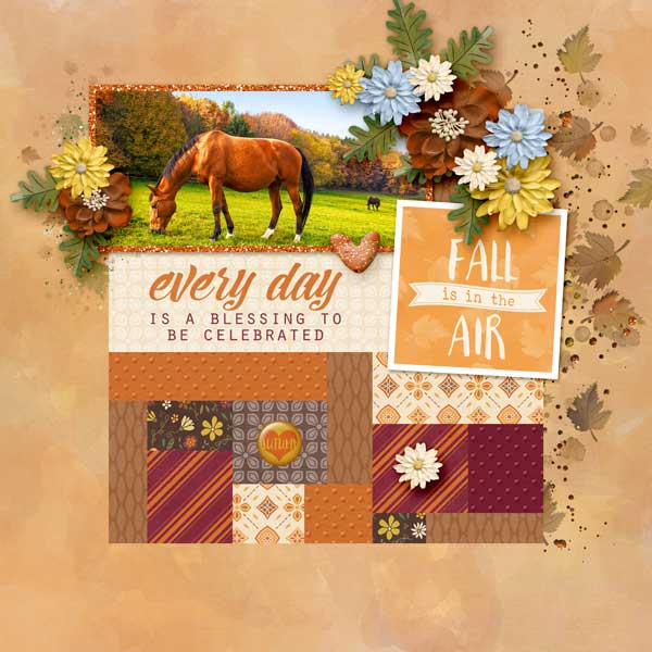 Autumn Hues