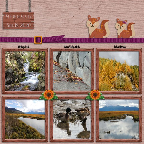 Autumn in Alaska