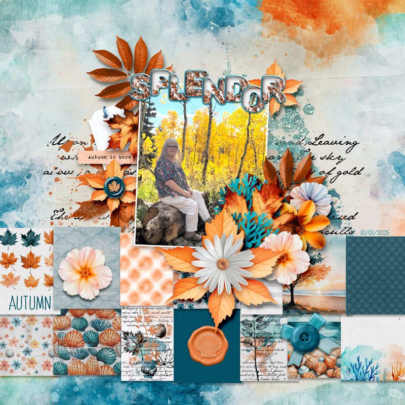 Autumn in bloom.jpg