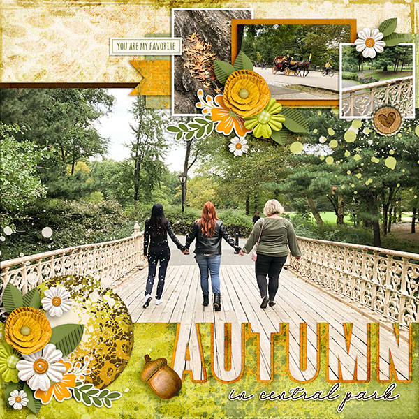 Autumn in Central Park