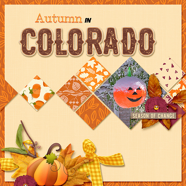 Autumn in Colorado