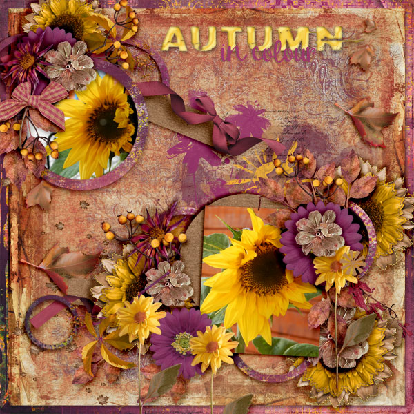 Autumn-in-colour