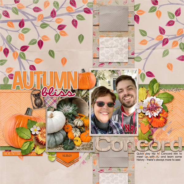 Autumn in Concord