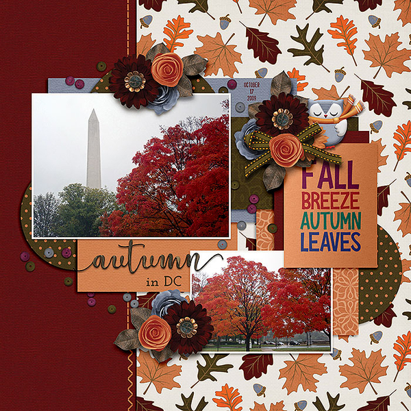 autumn in DC