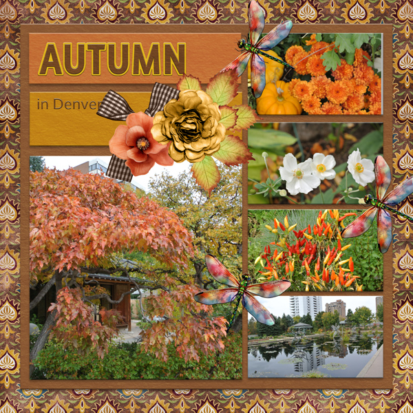 AUTUMN in Denver