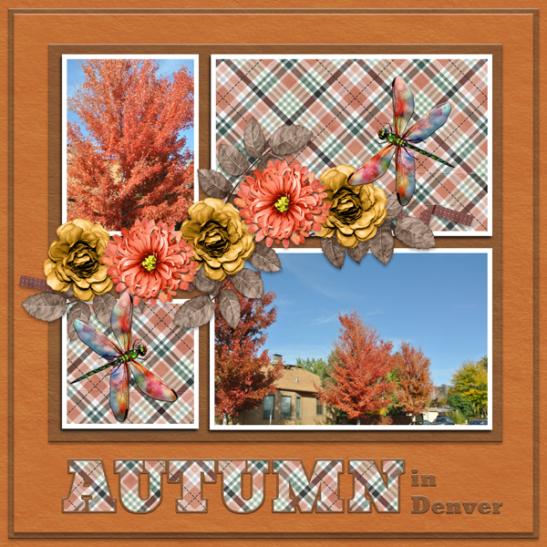 Autumn in Denver