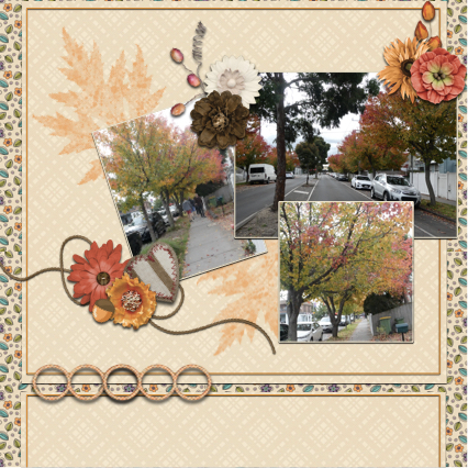Autumn in Melbourne