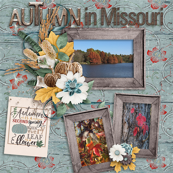 Autumn in Missouri