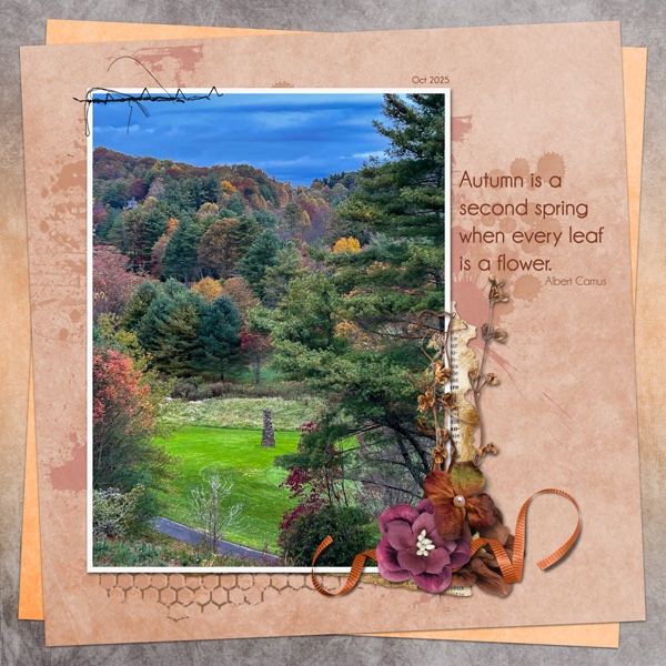 Autumn-in-NC