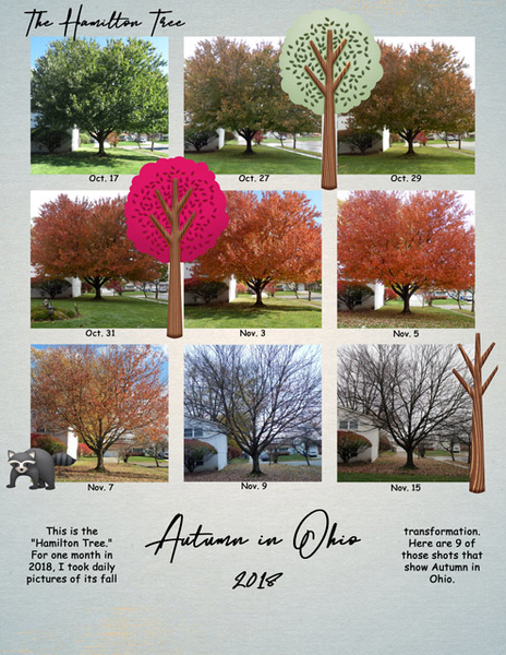 Autumn in Ohio