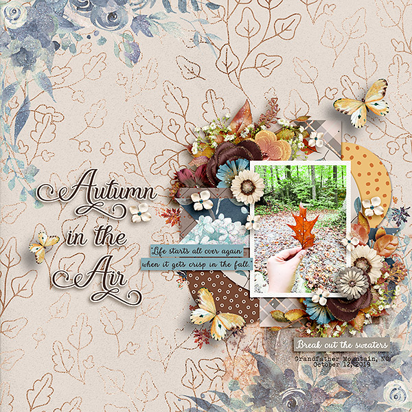 Autumn in the Air
