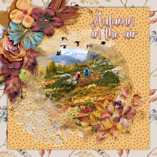 Autumn-in-the-air1