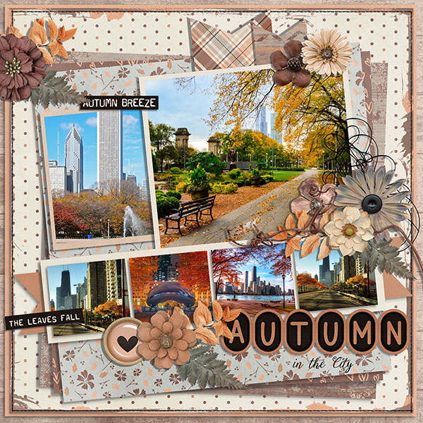 autumn in the city