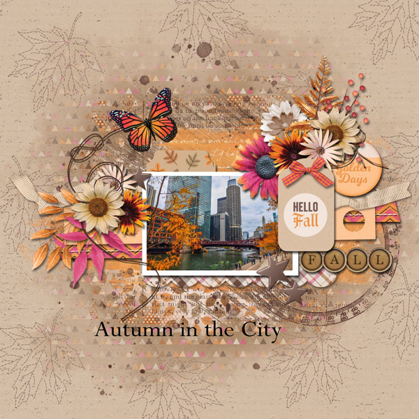 autumn in the city