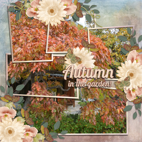 Autumn in the garden!
