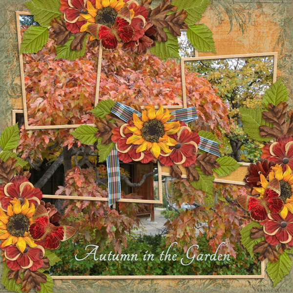 Autumn in the garden