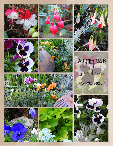 AUTUMN IN THE GARDEN