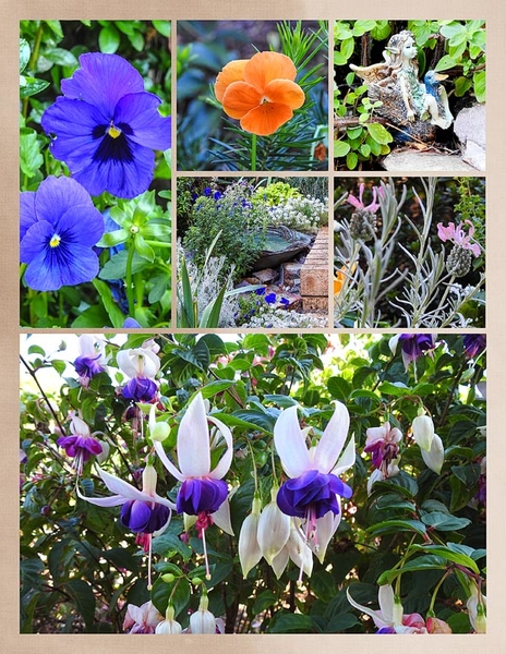 AUTUMN IN THE GARDEN