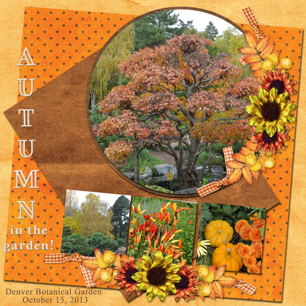 Autumn in the garden!