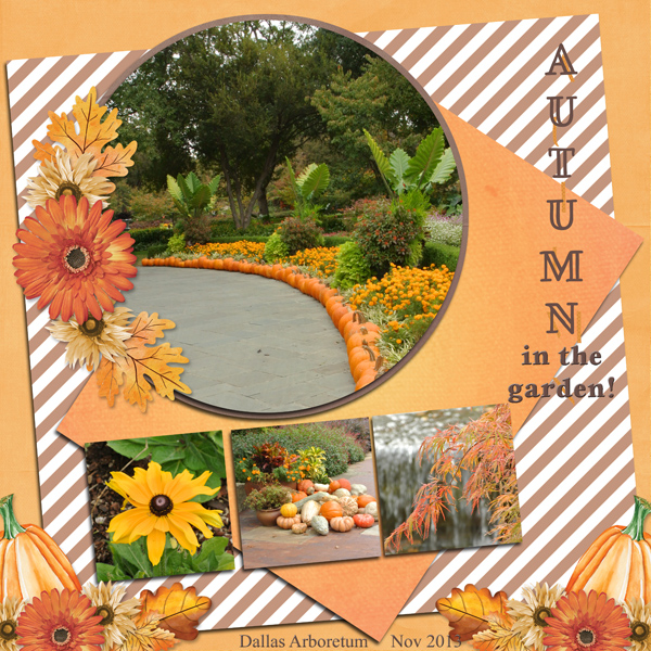 Autumn in the garden!