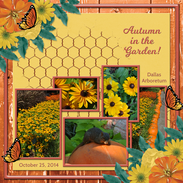 Autumn in the Garden!