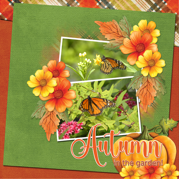 Autumn in the garden!