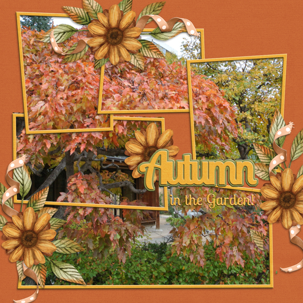 Autumn in the Garden