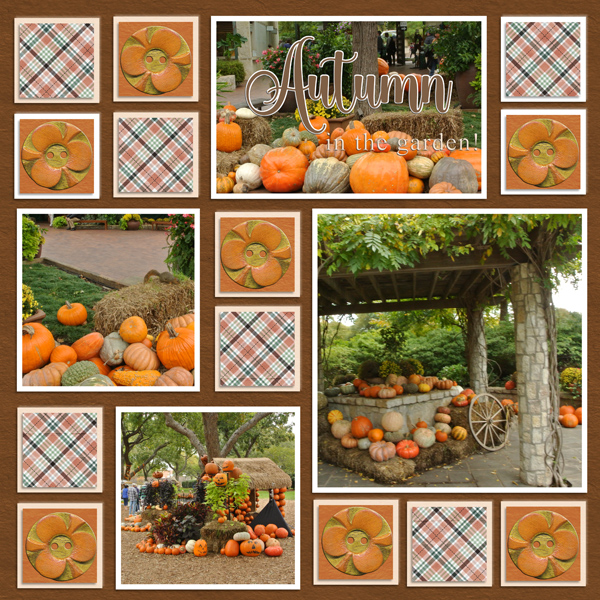 Autumn in the garden!