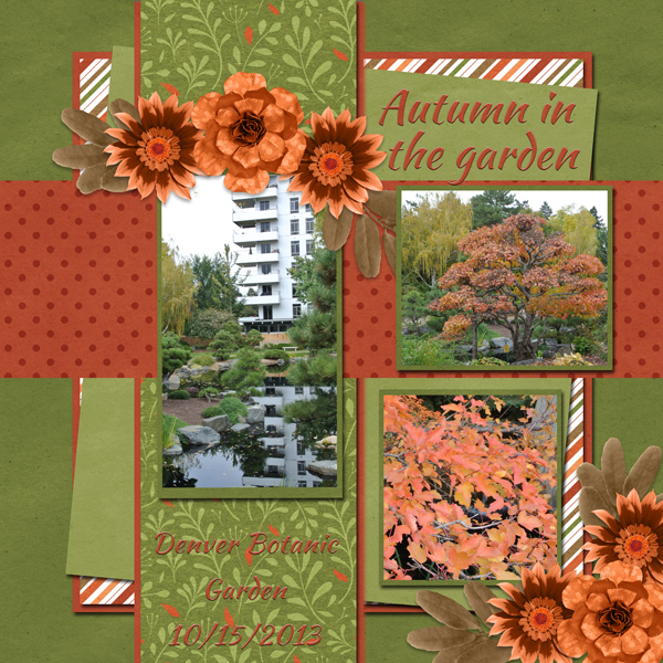 Autumn in the garden