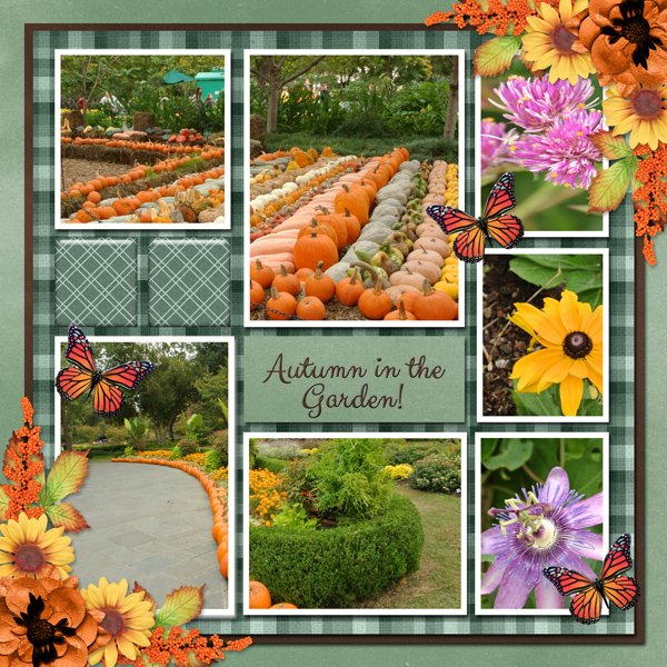 Autumn in the garden!