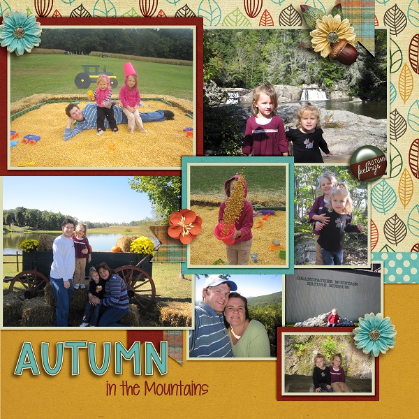 Autumn in the Mountains