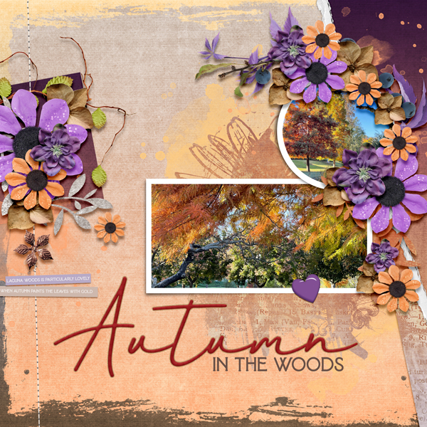 Autumn in the Woods