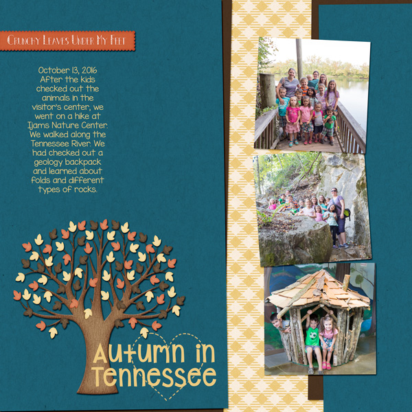 Autumn in TN